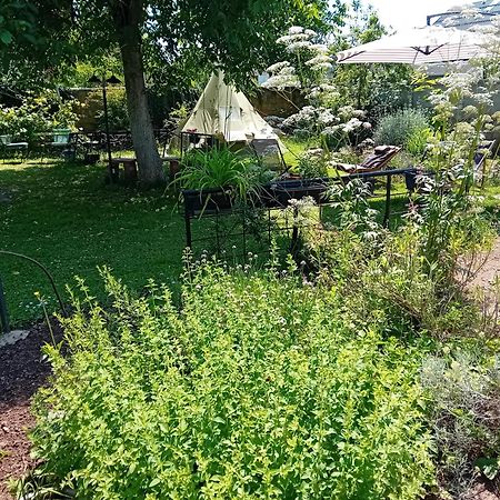 Indian Tent Tipi In Shared Lot And Shared Bathroom Mrse 외부 사진