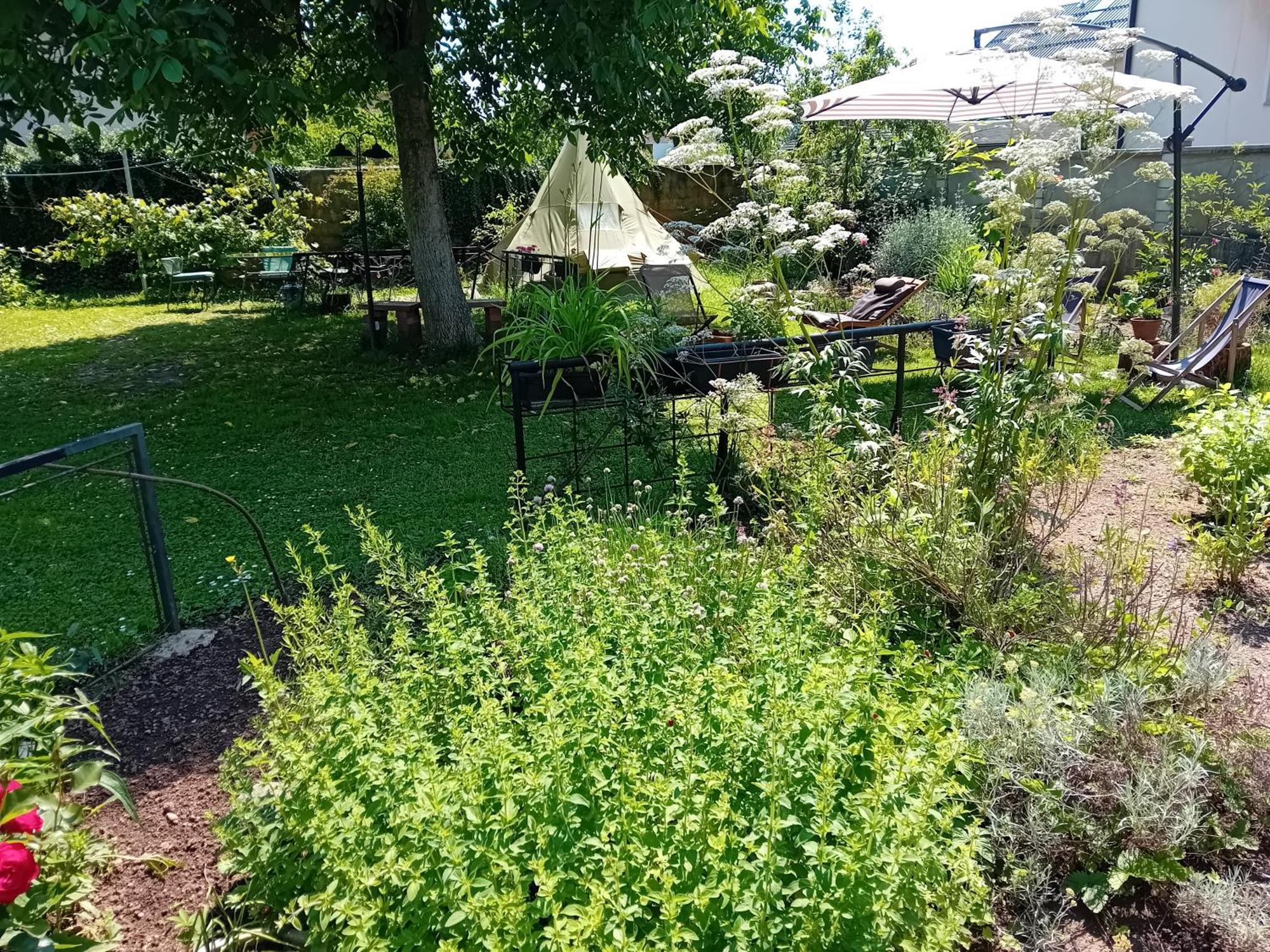 Indian Tent Tipi In Shared Lot And Shared Bathroom Mrse 외부 사진